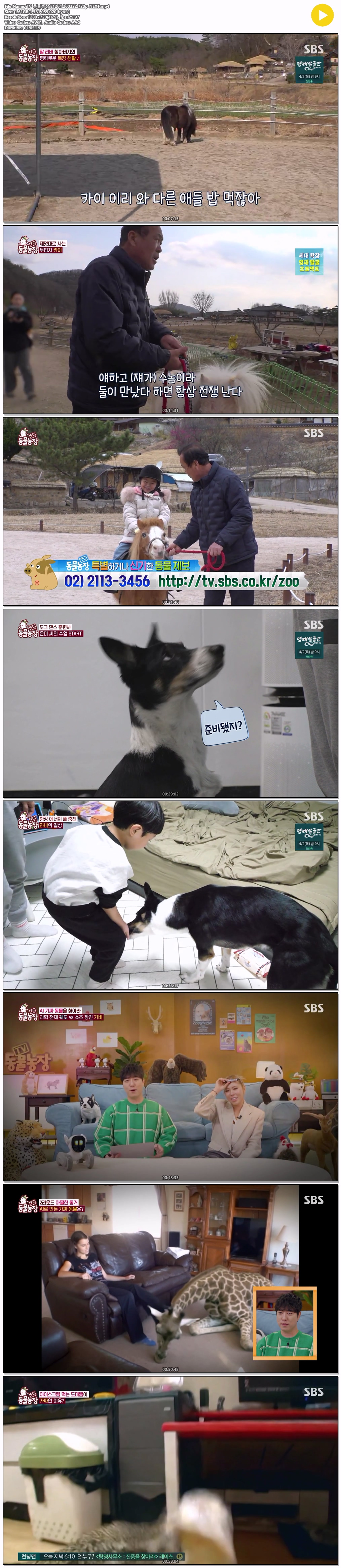 TV 동물농장.E1264.260322.720p-NEXT