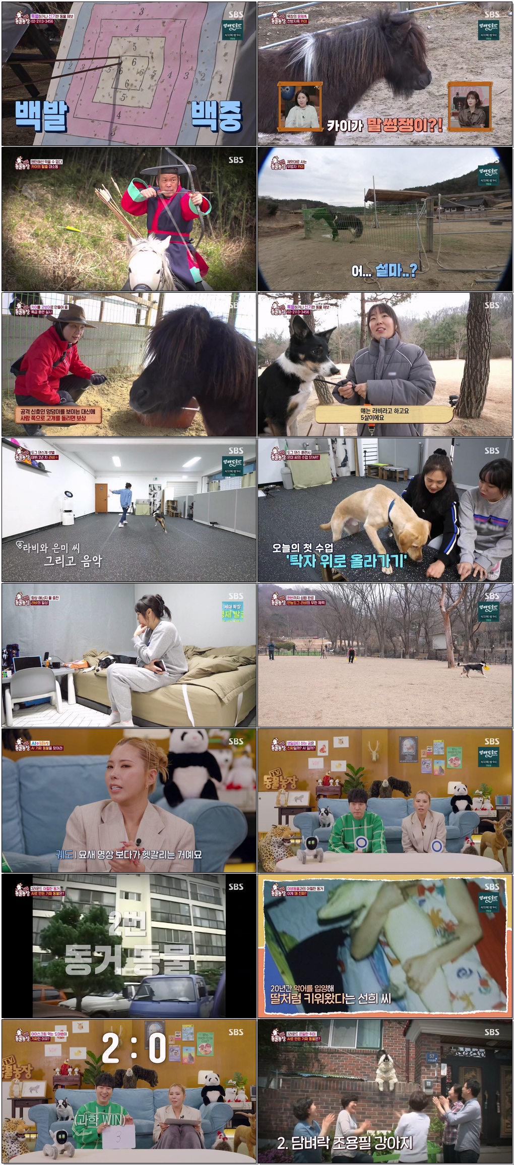 TV 동물농장.E1264.260322.1440p.H265-F1RST
