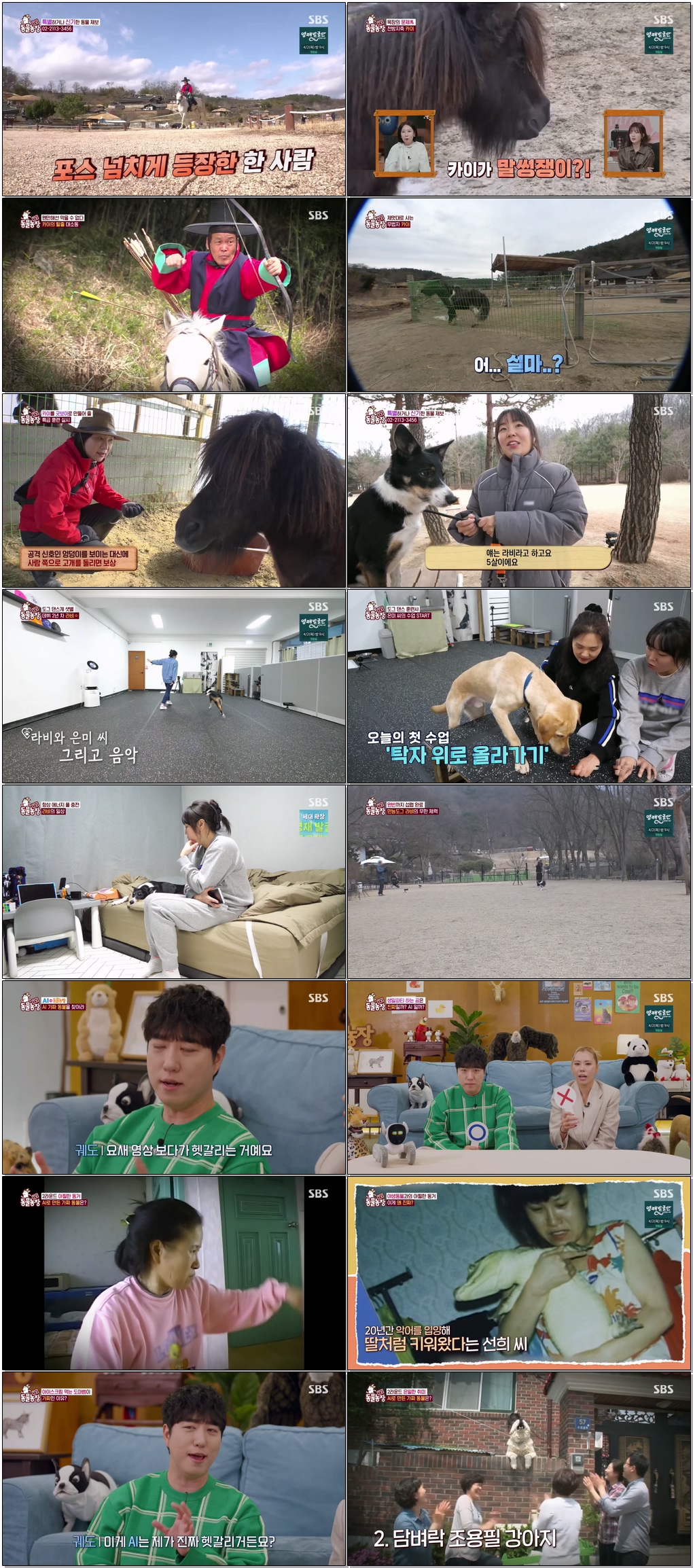 TV 동물농장.E1264.260322 .720p.H264-F1RST