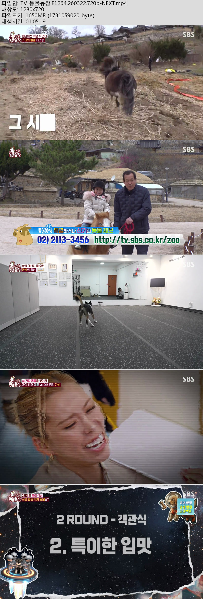 TV 동물농장.E1264.260322.720p-NEXT