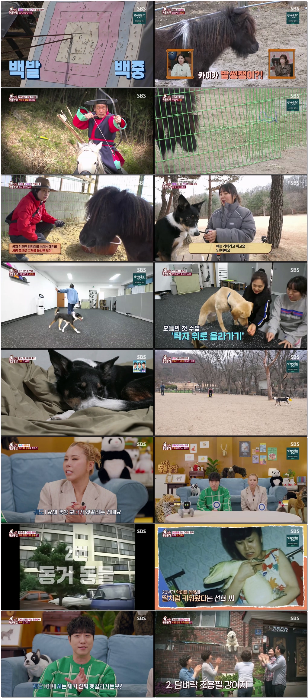 TV 동물농장.E1264.260322.1080p.H264-F1RST