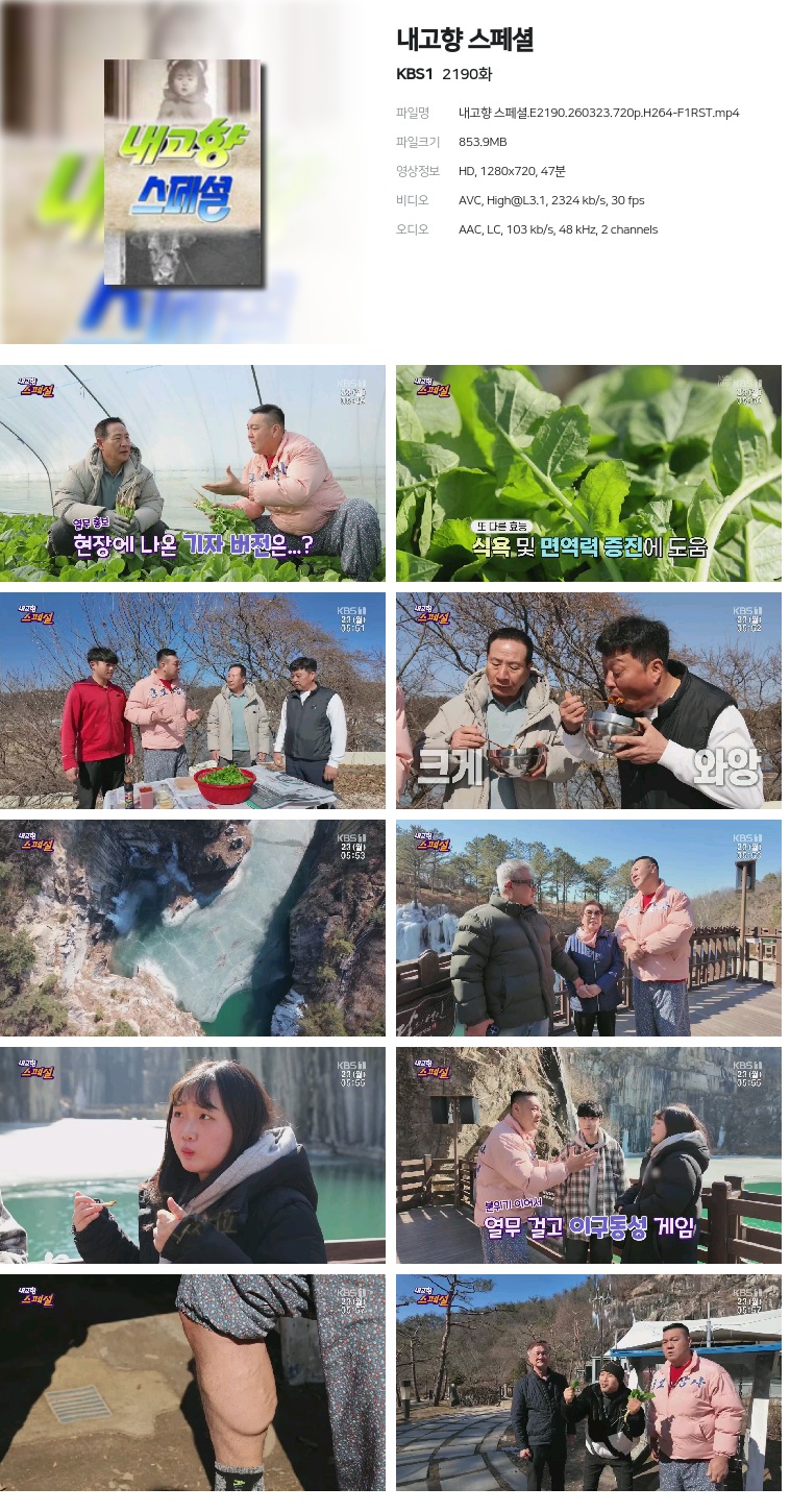 [KBS1] 내고향 스페셜.E2190.260323.720p.H264-F1RST