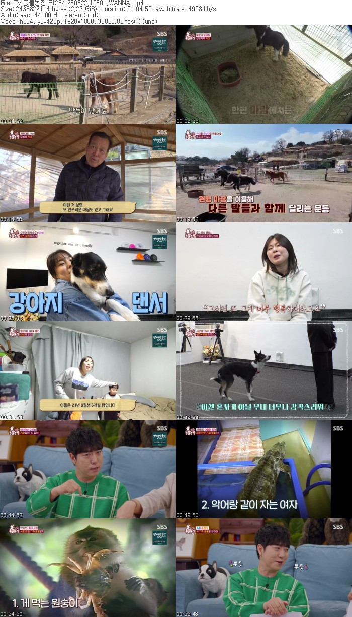 TV 동물농장.E1264.260322.1080p.WANNA