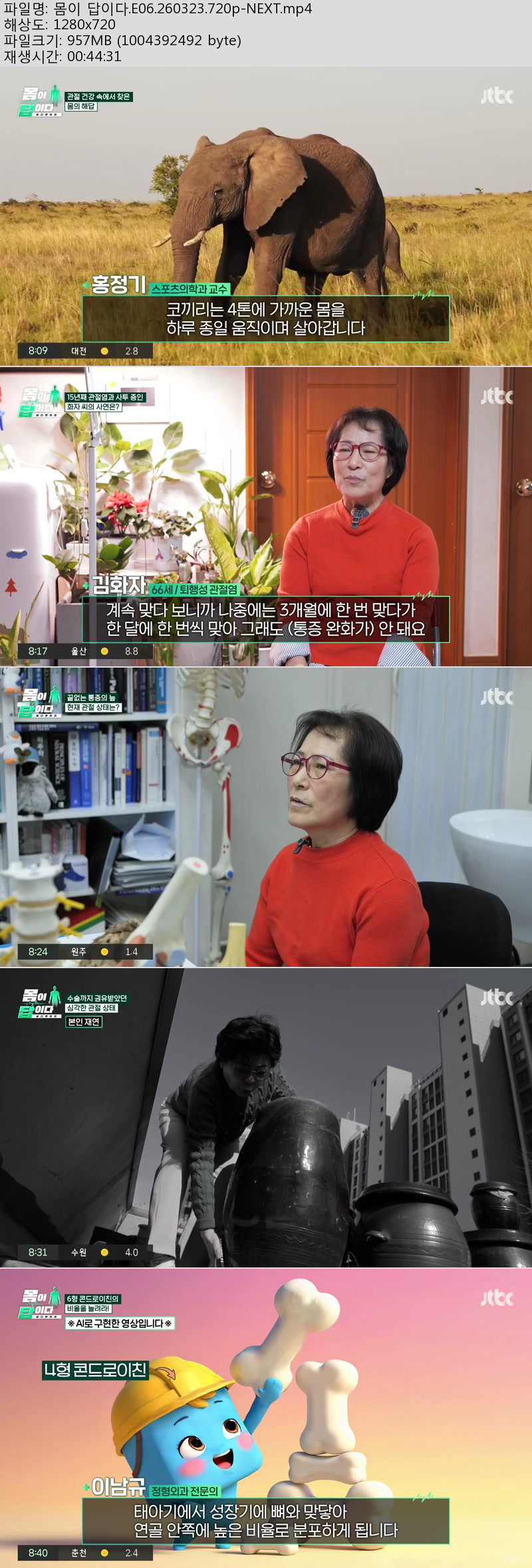 몸이 답이다.E06.260323.720p-NEXT