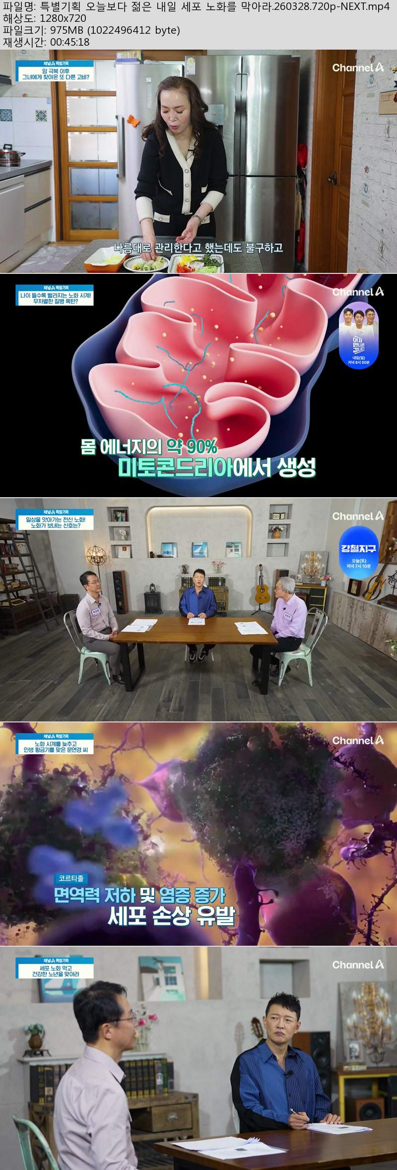 특별기획 오늘보다 젊은 내일 세포 노화를 막아라.260328.720p-NEXT