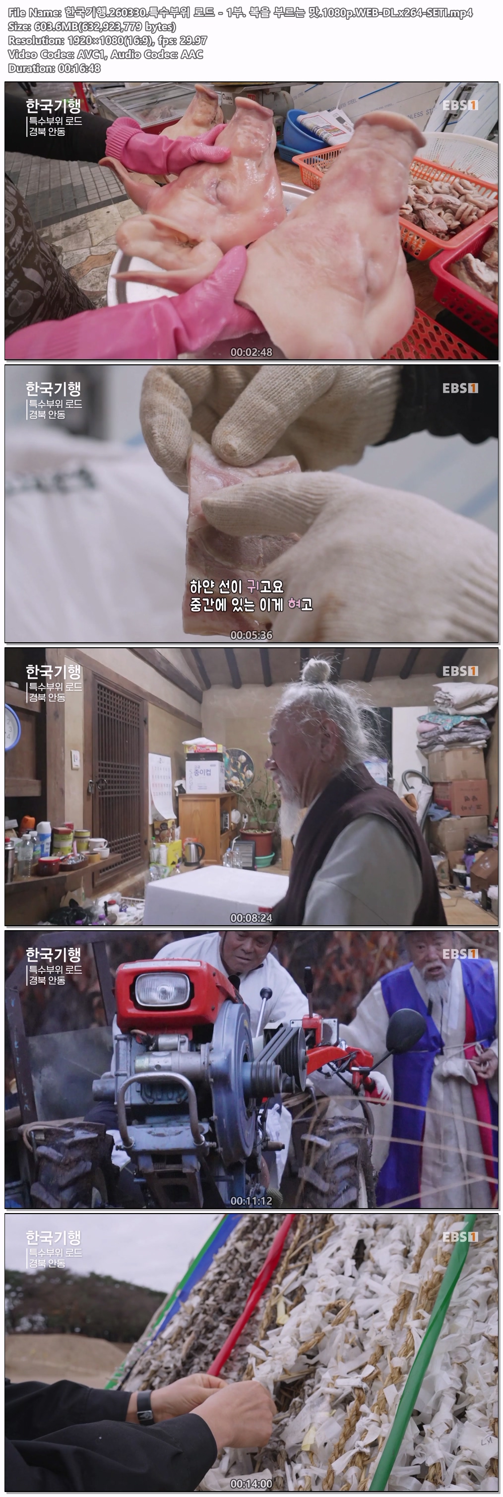 한국기행.260330.특수부위 로드 - 1부. 복을 부르는 맛.1080p