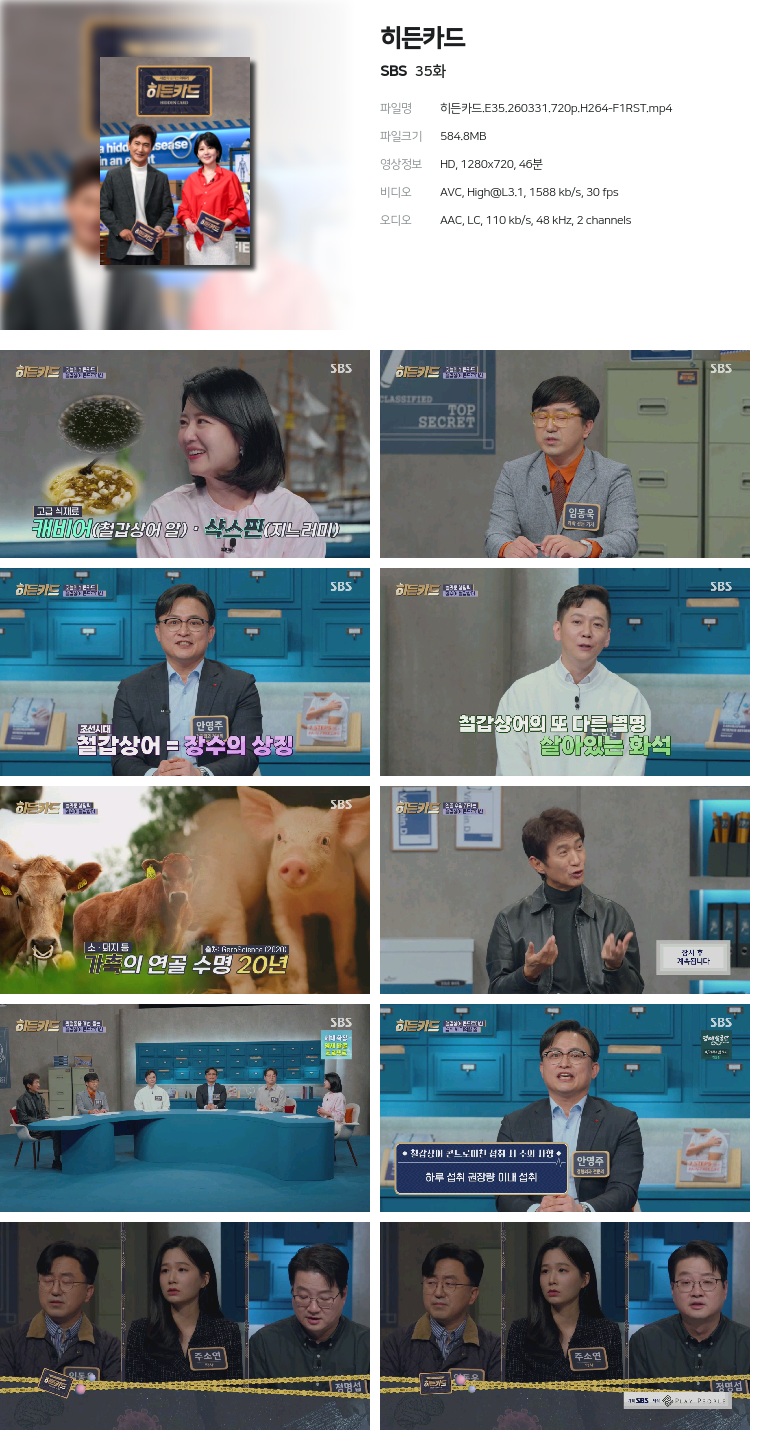 [SBS] 히든카드.E35.260331.720p.H264-F1RST