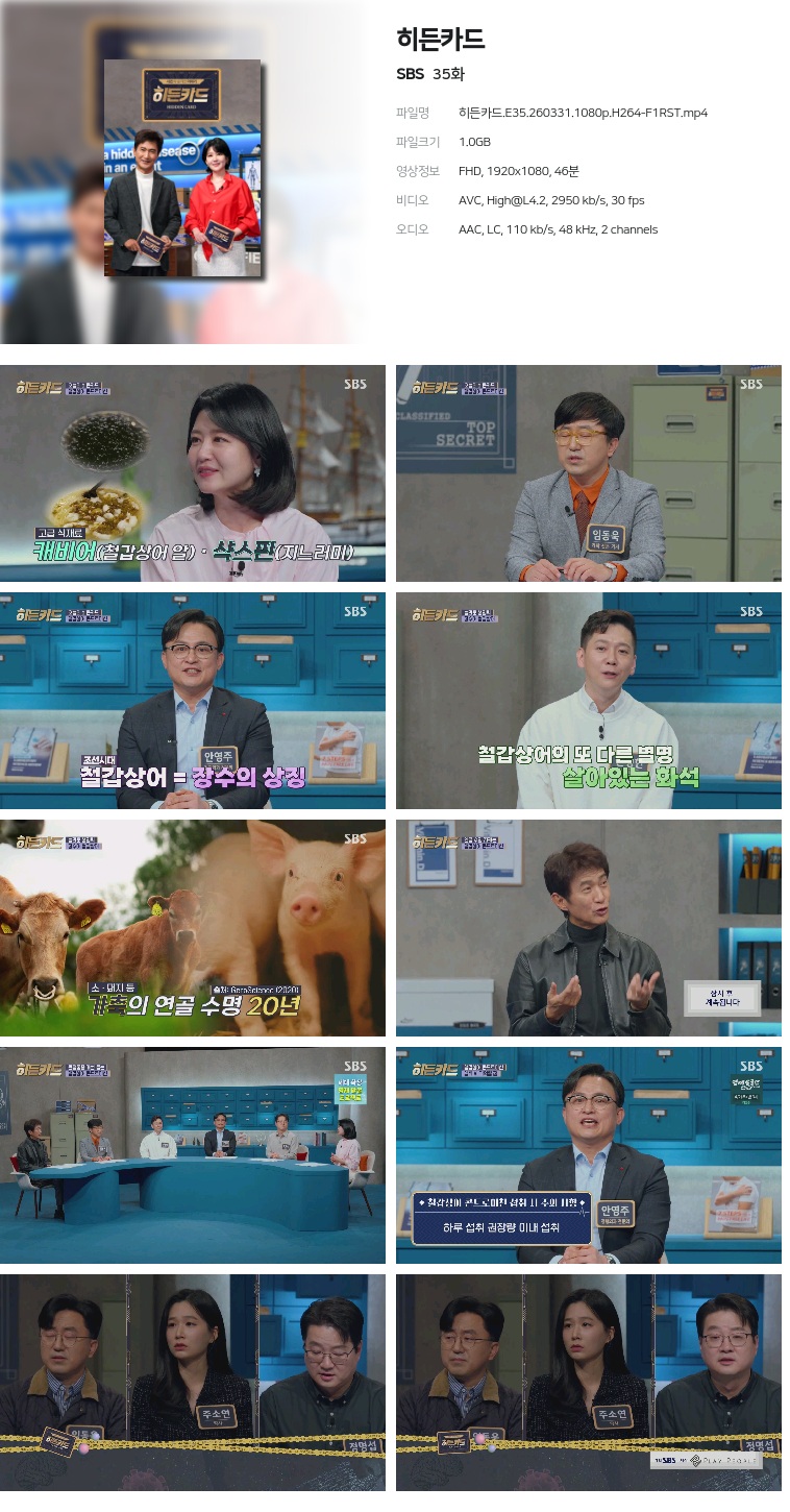 [SBS] 히든카드.E35.260331.1080p.H264-F1RST
