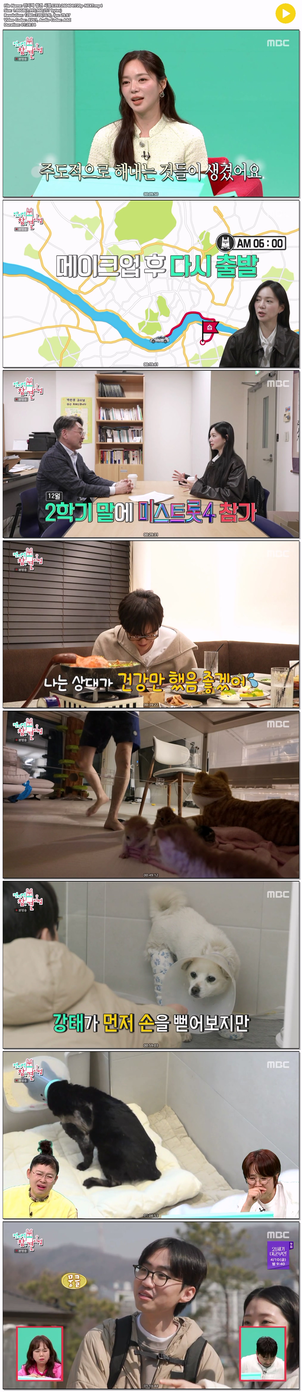 전지적 참견 시점.E393.260404.720p-NEXT