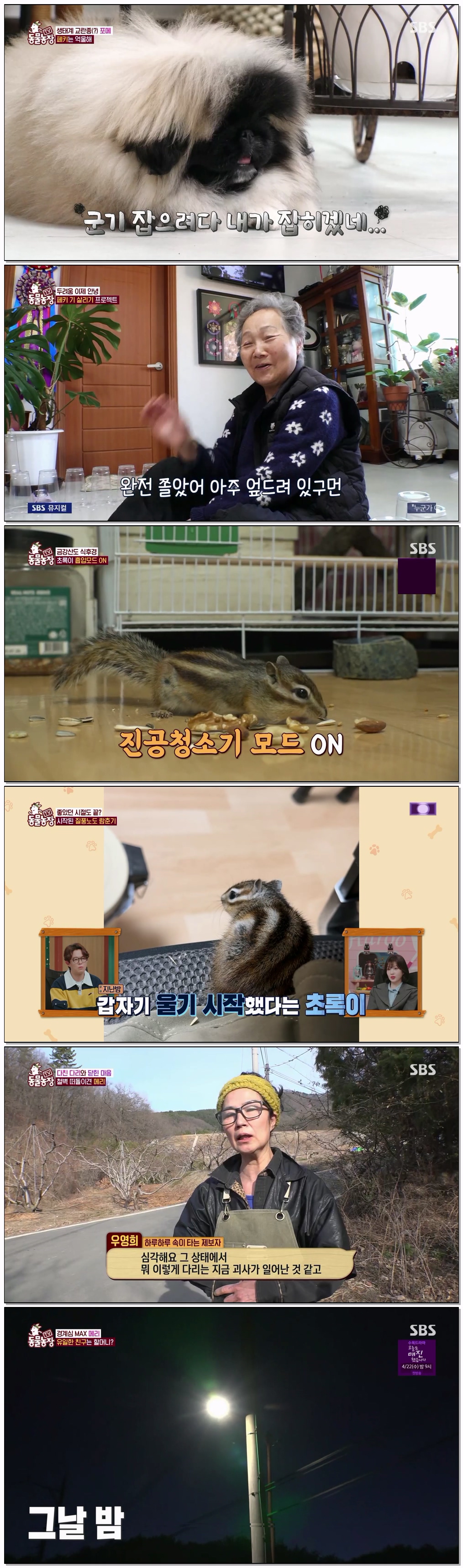 TV 동물농장.E1266.260405.1080p.H264-F1RST