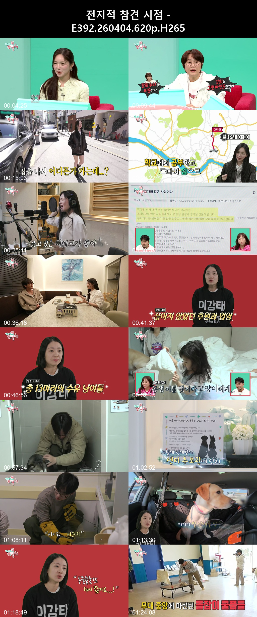 전지적 참견 시점 - E392 260404 620p H265 15-Rite