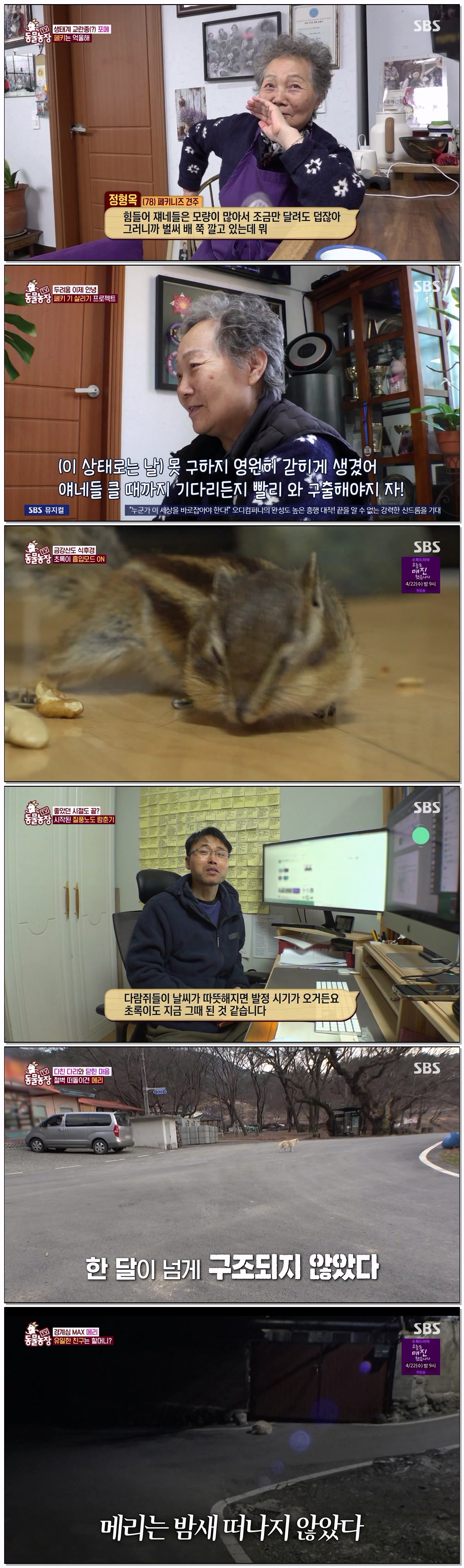 TV 동물농장.E1266.260405.720p-NEXT