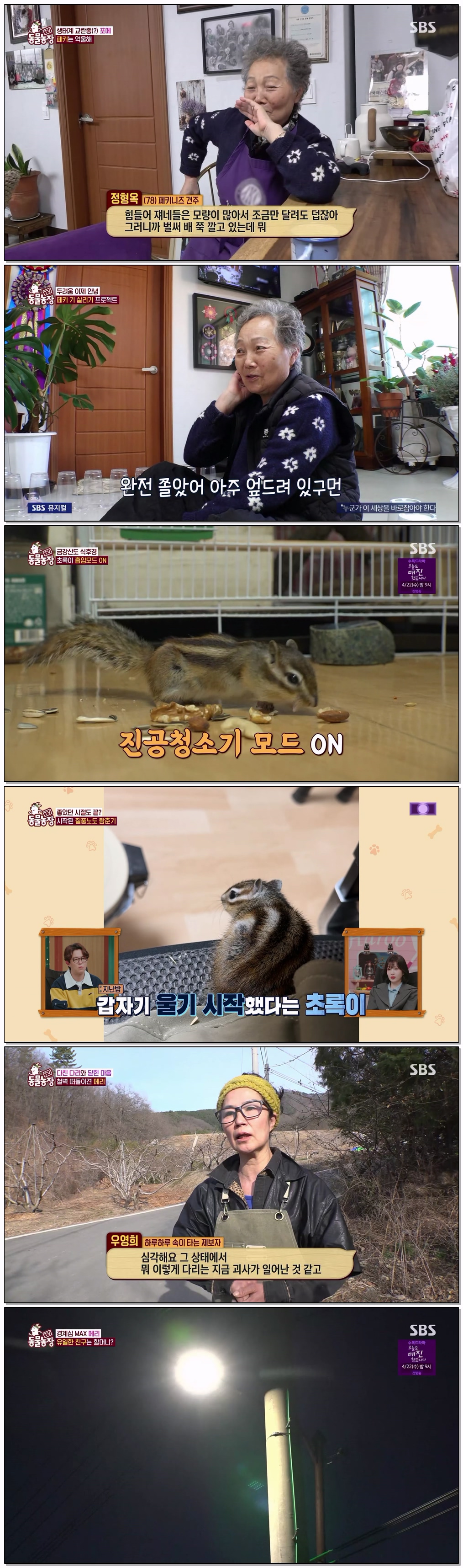 TV 동물농장.E1266.260405.1440p.H265-F1RST