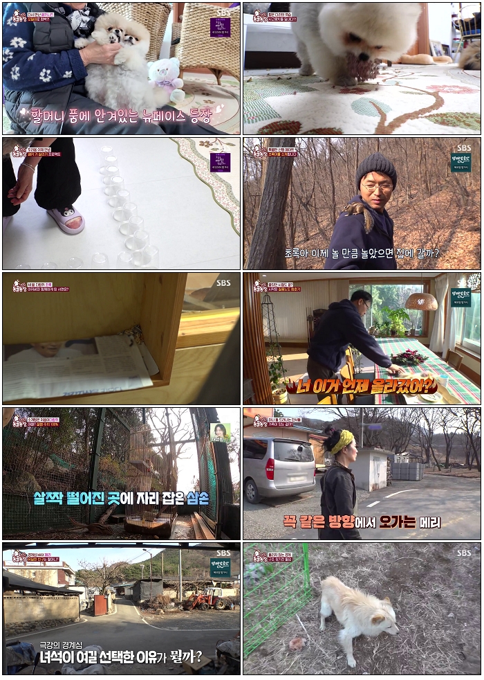 TV 동물농장.E1266.260405.720p-NEXT