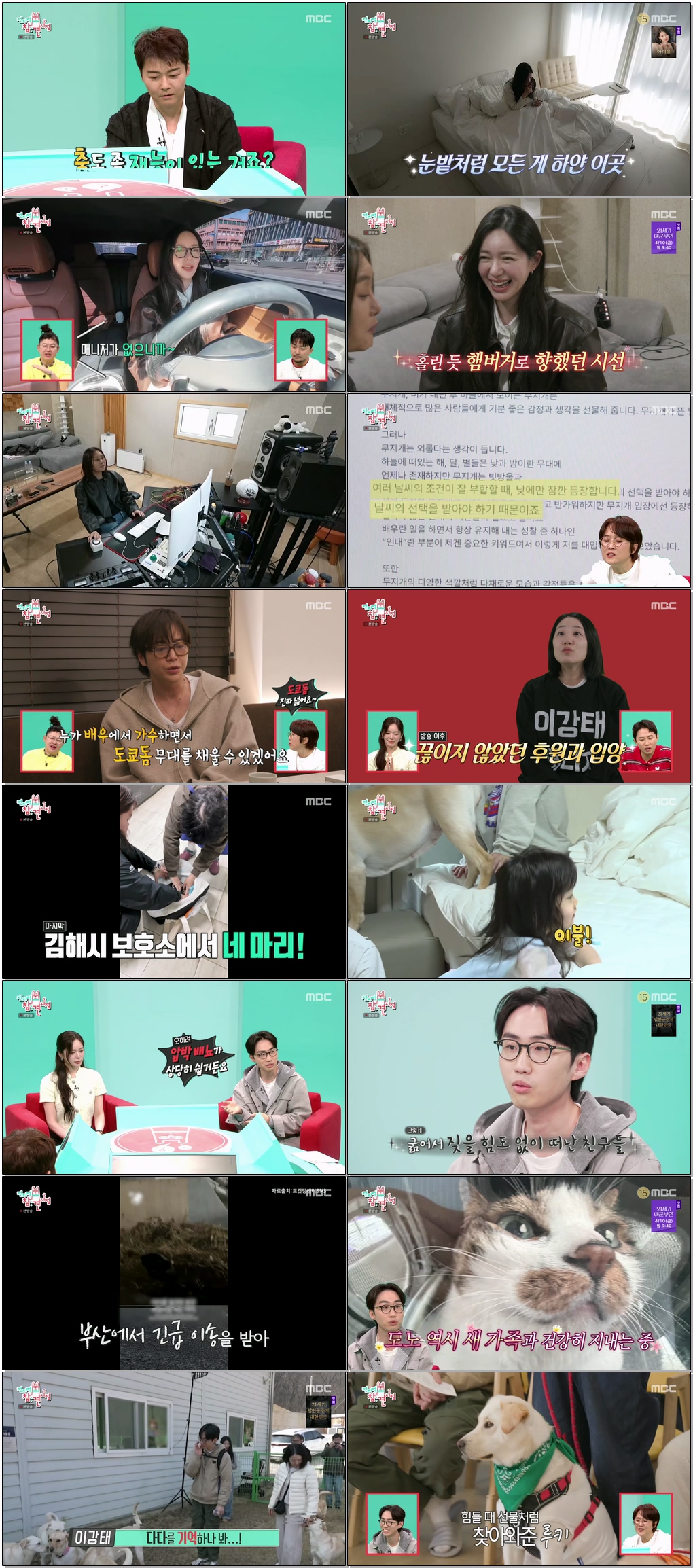 전지적 참견 시점.E392.260404.1080p.H264-F1RST