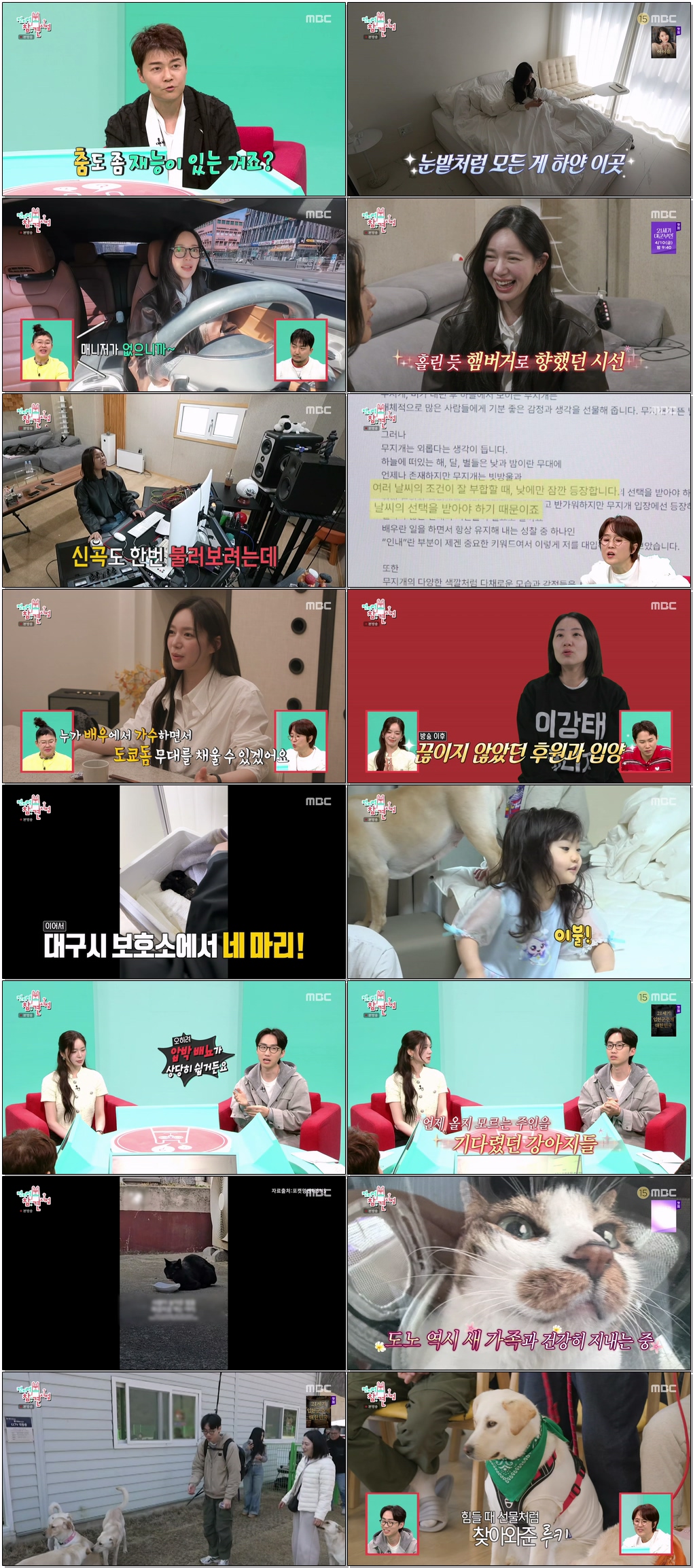 전지적 참견 시점.E392.260404.1440p.H265-F1RST
