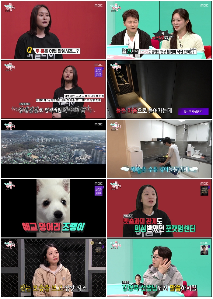 전지적 참견 시점.E393.260404.720p-NEXT