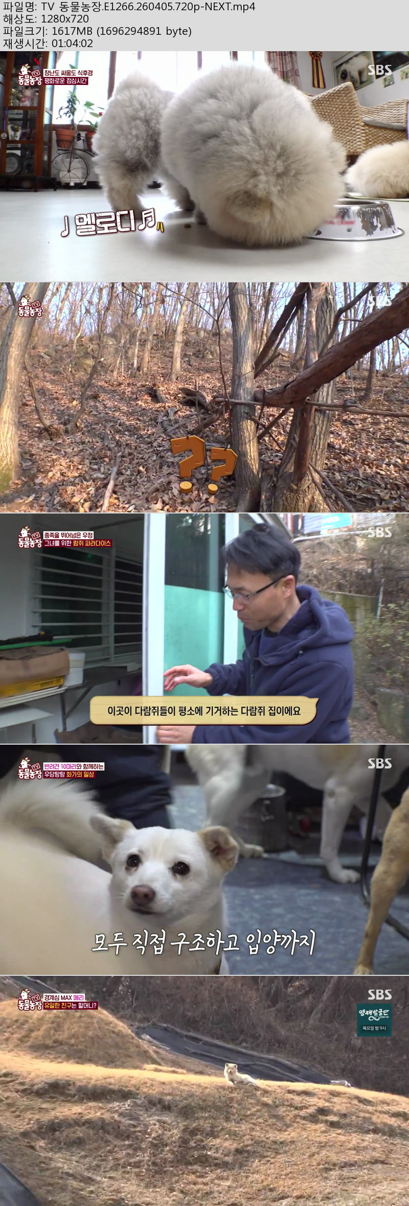 TV 동물농장.E1266.260405.720p-NEXT