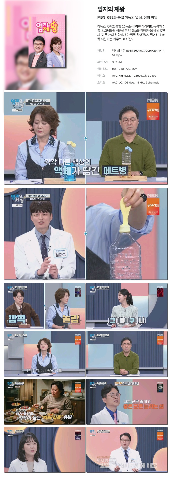 [MBN] 엄지의 제왕.E688.260407.720p.H264-F1RST 봄철 해독의 열쇠, 장의 비밀