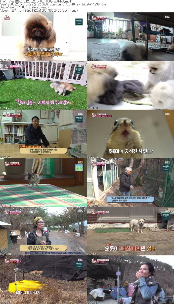 TV 동물농장.E1266.260405.1080p.WANNA