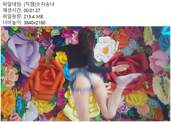 [직캠] 숫자송녀