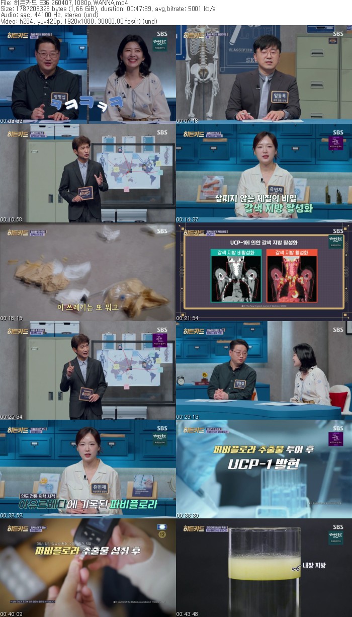 히든카드.E36.260407.1080p.WANNA