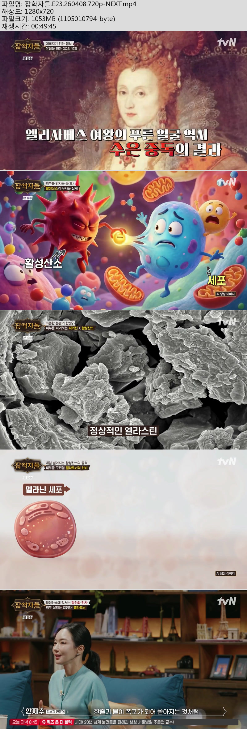 잡학자들.E23.260408.720p-NEXT