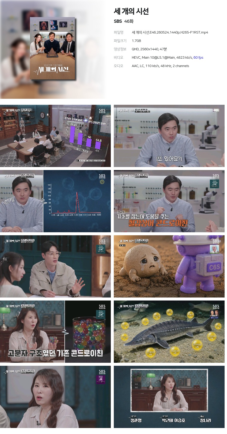 [SBS] 세 개의 시선.E46.260524.1440p.H265-F1RST