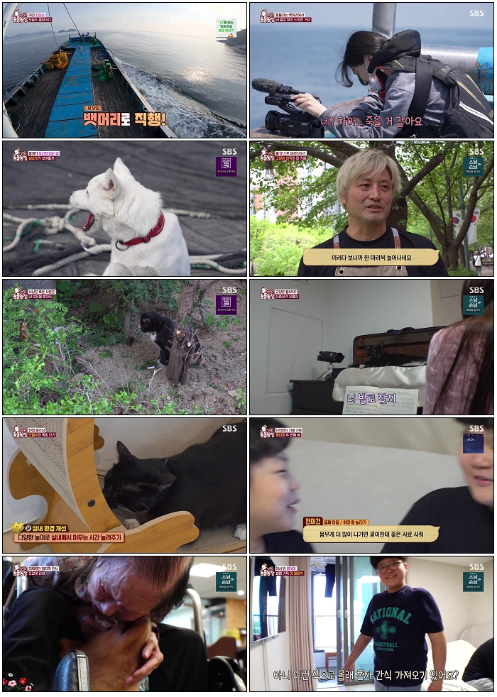 TV 동물농장.E1273.260524.720p-NEXT