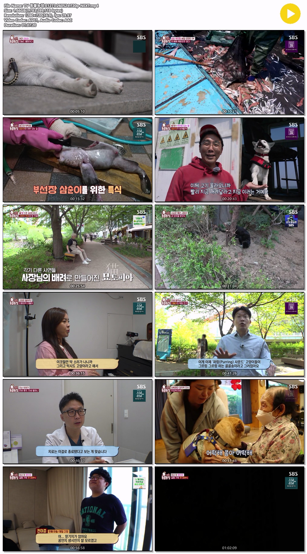 TV 동물농장.E1273.260524.720p-NEXT