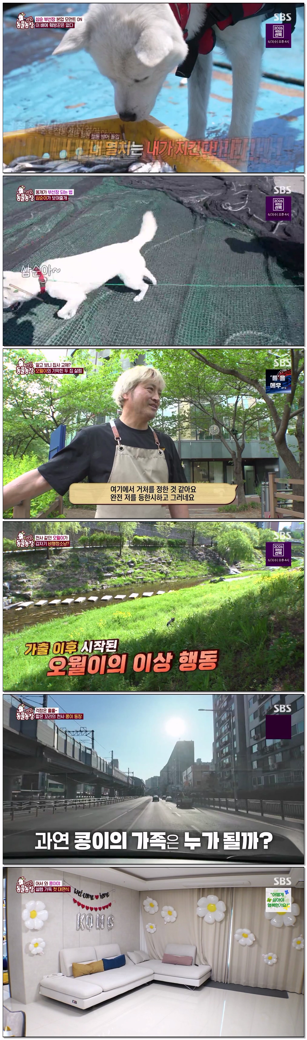 TV 동물농장.E1273.260524.720p-NEXT
