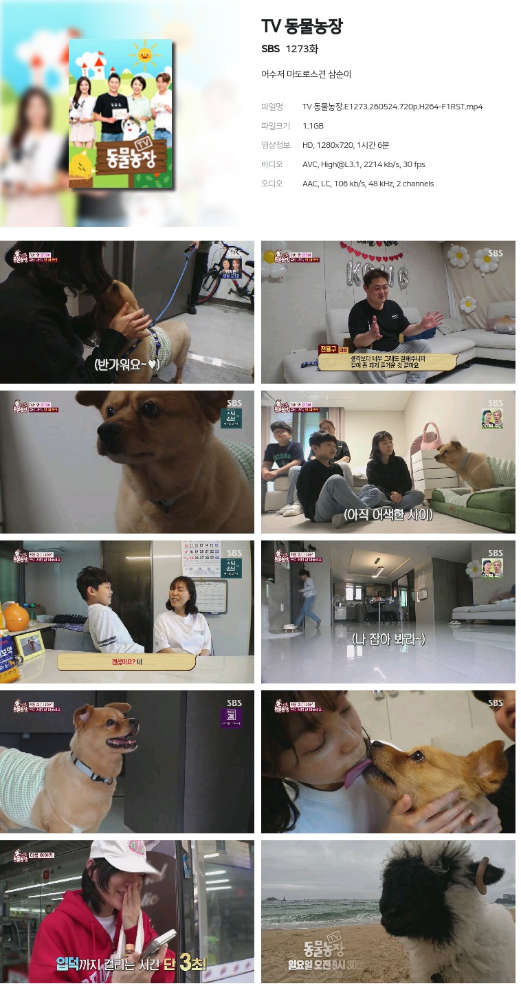 [SBS] TV 동물농장.E1273.260524.720p.H264-F1RST