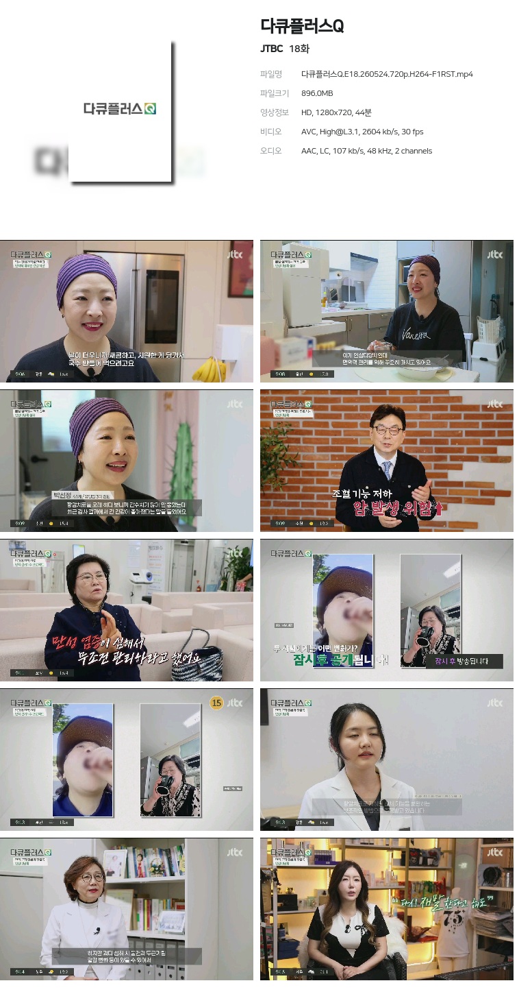 [JTBC] 다큐플러스Q.E18.260524.720p.H264-F1RST