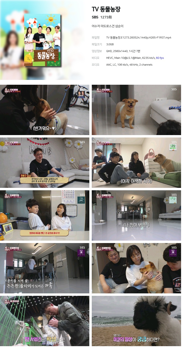 [SBS] TV 동물농장.E1273.260524.1440p.H265-F1RST