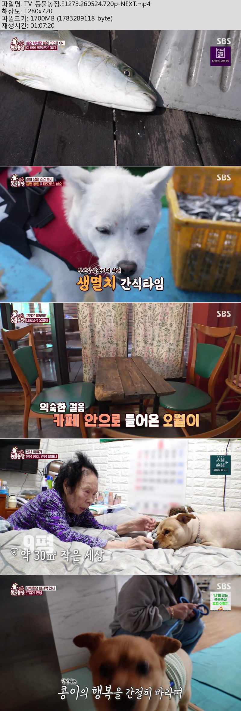 TV 동물농장.E1273.260524.720p-NEXT