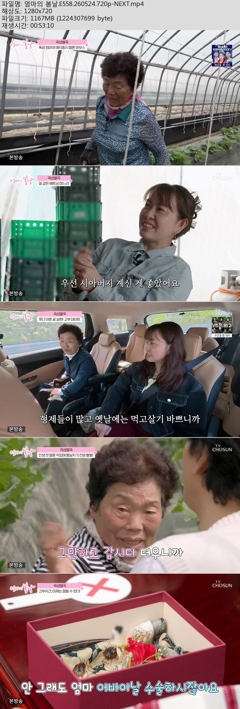 엄마의 봄날.E558.260524.720p-NEXT
