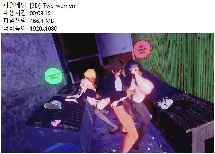 [3D] Two women