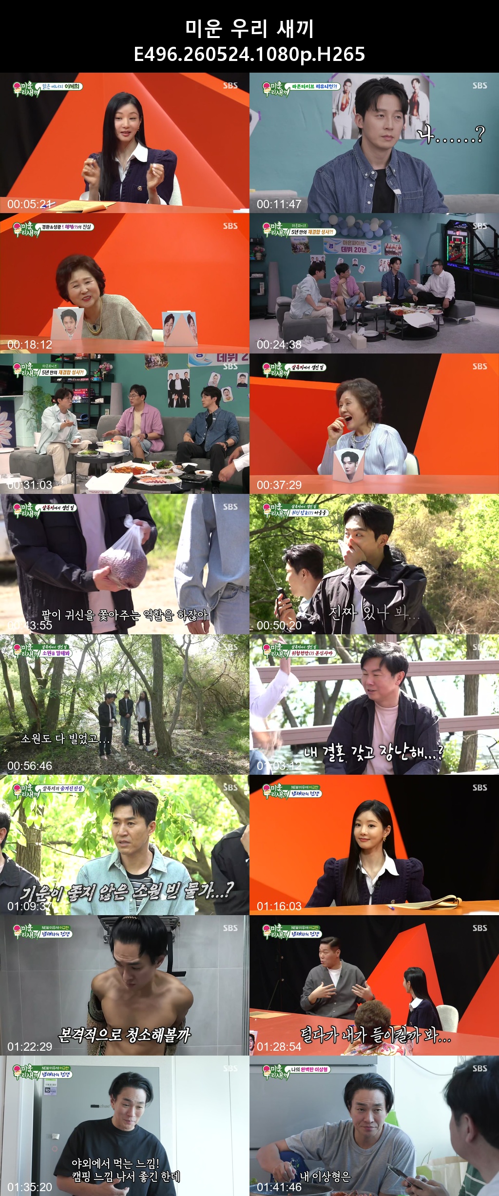 미운 우리 새끼 E496 260524 1080p H265 -Rite