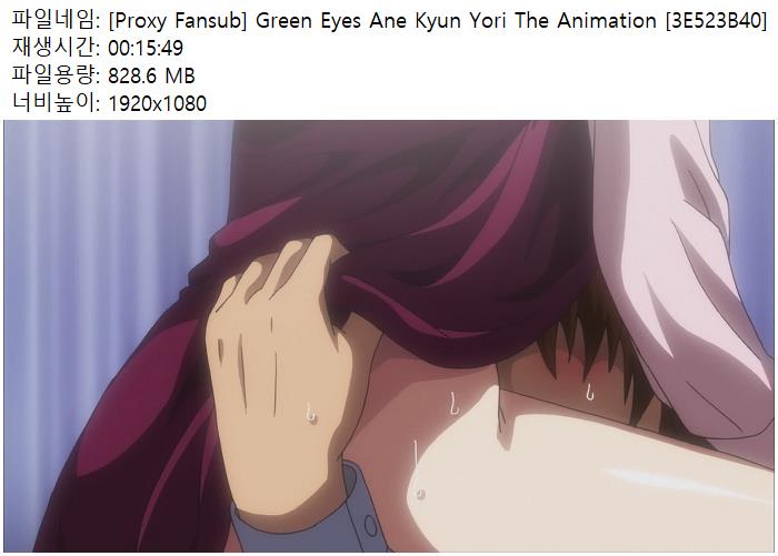 [Proxy Fansub] Green Eyes Ane Kyun Yori The Animation [3E523B40]
