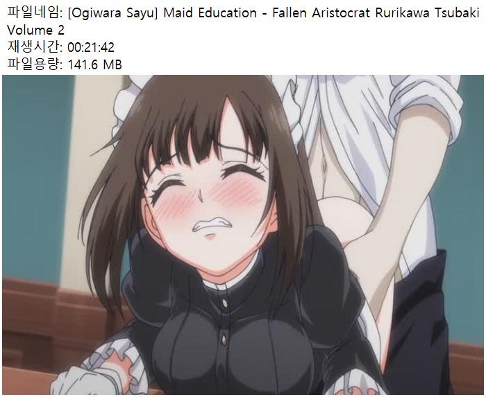 [Ogiwara Sayu] Maid Education - Fallen Aristocrat Rurikawa Tsubaki Volume 2