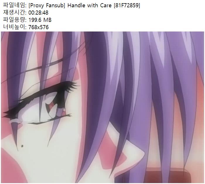 [Proxy Fansub] Handle with Care [81F72859]