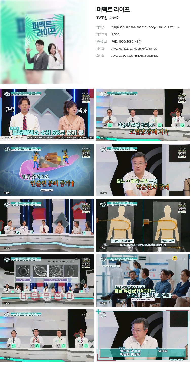 [TV조선] 퍼펙트 라이프.E288.260527.1080p.H264-F1RST