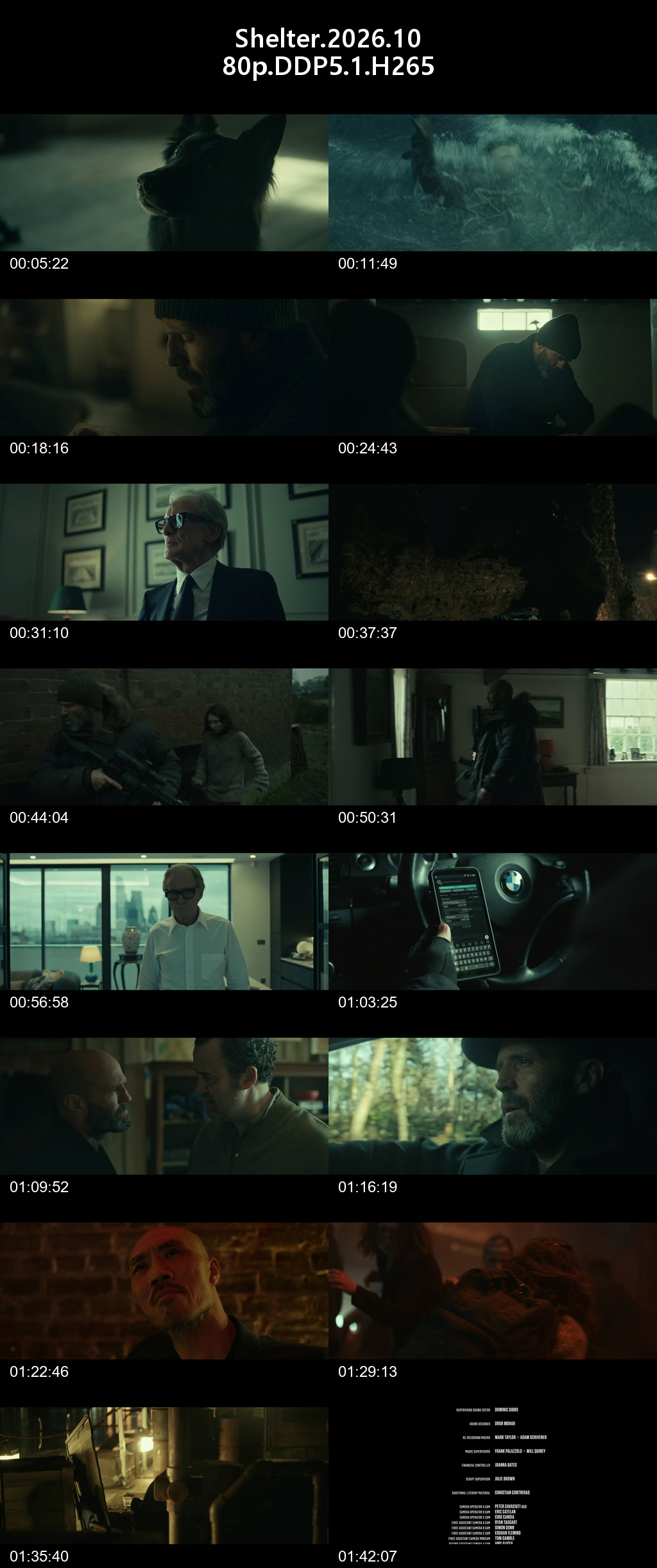 제이슨스타덤 - 쉘터.Shelter 2026 1080p DDP5.1 H265 -Rite