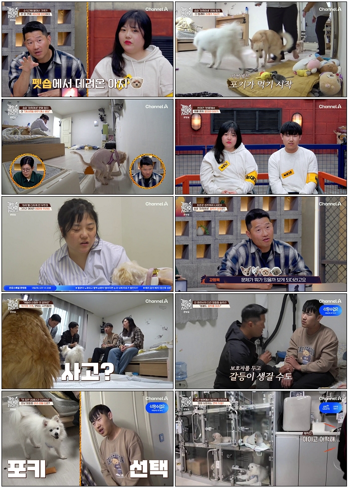 개와 늑대의 시간 2.E20.260527.720p-NEXT
