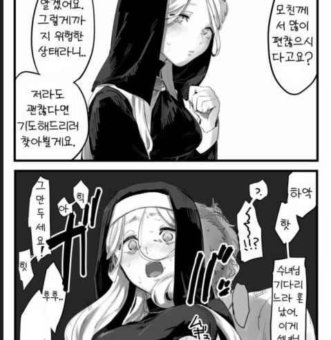 [번역] [단편] [4P] 속아서 범해지는 수녀님 [Bodoyama]