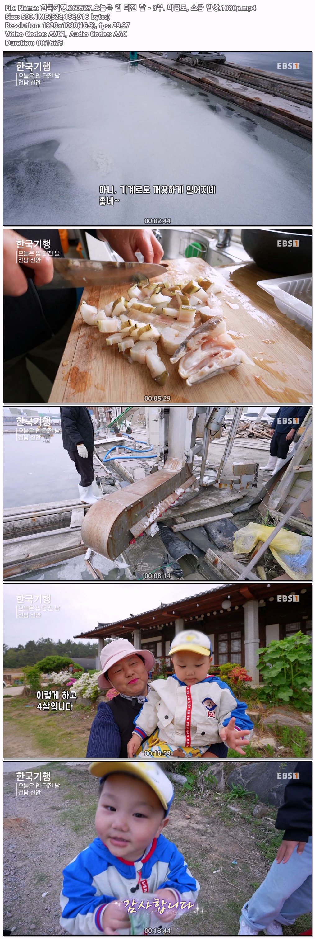 한국기행.260527.오늘은 입 터진 날 - 3부. 비금도, 소금 밥상.1080p