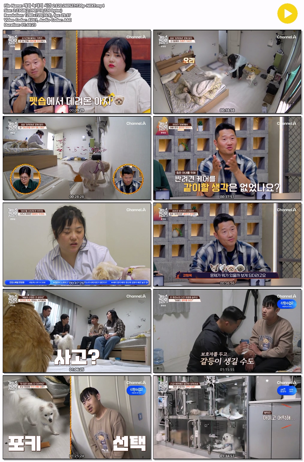 개와 늑대의 시간 2.E20.260527.720p-NEXT