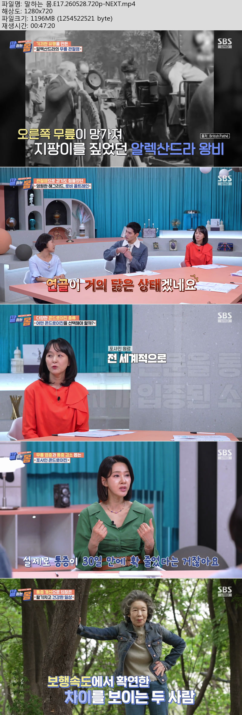 말하는 몸.E17.260528.720p-NEXT