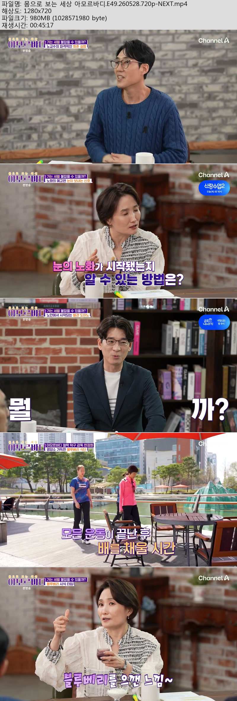 몸으로 보는 세상 아모르바디.E49.260528.720p-NEXT