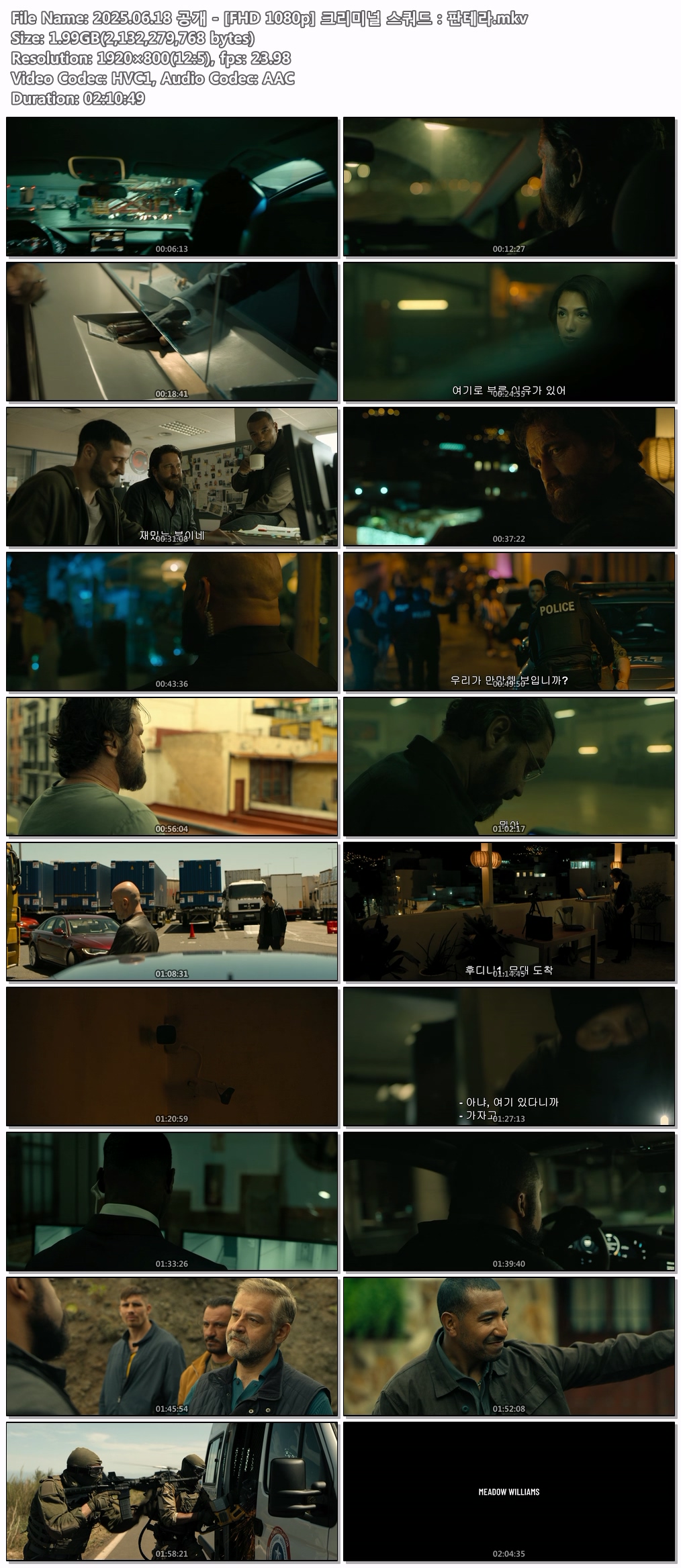 2025.06.18 공개 - [FHD 1080p] 크리미널 스쿼드 판테라